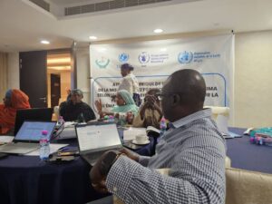 L'OMS a annoncé vendredi qu'elle appuyait le ministère de la Santé publique du Niger (MSP)