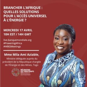 La situation énergétique critique en Afrique subsaharienne pourrait exclure plus de 500 millions de personnes de l'accès à l'électricité