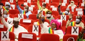 La législation omet de préciser les montants de ces émoluments, conférant ainsi au Président du CNT la prérogative de les fixer