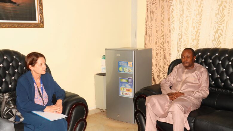 Dialogues diplomatiques entre le Niger et l'OIM pour une gestion humanitaire et sécuritaire des migrations subsahariennes.