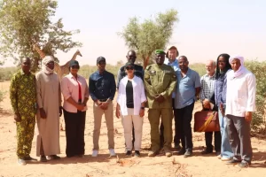 À Kouré, la beauté des girafes a captivé une délégation internationale, marquant l'ouverture de la saison touristique nigérienne 