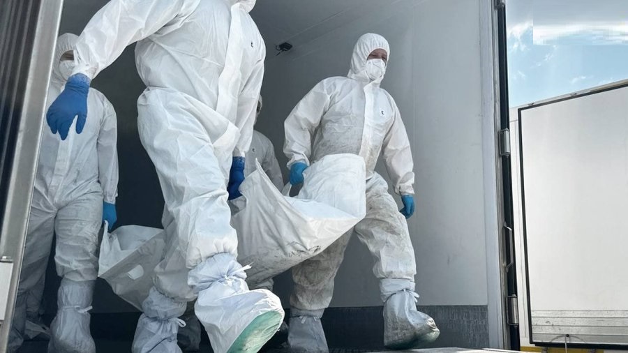 Un ballet macabre aux confins de la guerre : l’échange des dépouilles entre Russie et Ukraine