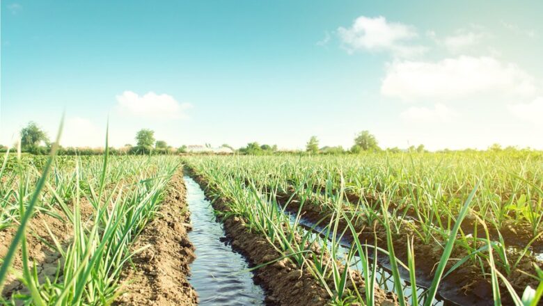 Le Niger lance le projet PAHA-AIC de de 24 milliards de FCFA avec la BOAD et le Fonds Vert pour le Climat afin de transformer 1 749 hectares