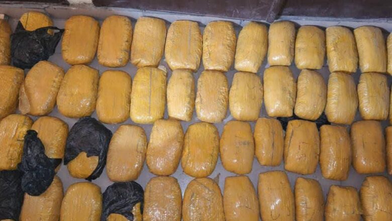 L’OCRTIS intercepte 50 boules de cannabis et 12 500 comprimés d’Exol à l’entrée d’Agadez. Quatre trafiquants arrêtés et présentés au parquet.