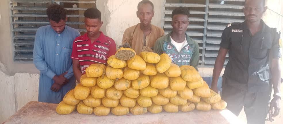 La DDPN de Tanout a saisi 44 briques de chanvre et plus de 4 000 litres de carburant fraudé. Cette opération stratégique illustre la lutte du Niger contre les trafics qui minent sa souveraineté économique.