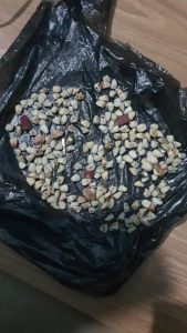 L’OCRTIS démantèle trois réseaux clandestins mêlant faux soins médicaux et trafic de cannabis. Ces opérations renforcent la lutte contre les pratiques illégales dans une zone sahélienne à forte vulnérabilité sanitaire.