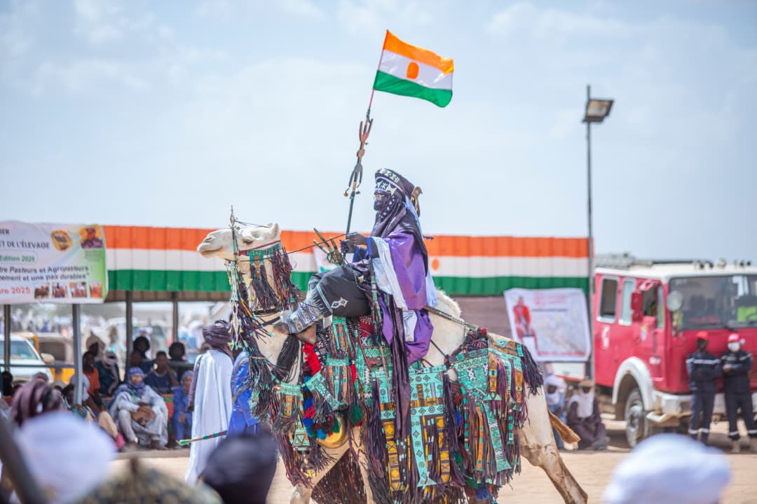 La 58ᵉ Cure Salée à Ingall a réuni ministres, sultans et artisans pour célébrer le patrimoine nomade. Un événement phare qui relance le tourisme culturel au Niger et réaffirme l’unité saharienne face aux défis du climat et de la sécurité.