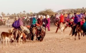La 58ᵉ Cure Salée à Ingall a réuni ministres, sultans et artisans pour célébrer le patrimoine nomade. Un événement phare qui relance le tourisme culturel au Niger et réaffirme l’unité saharienne face aux défis du climat et de la sécurité.