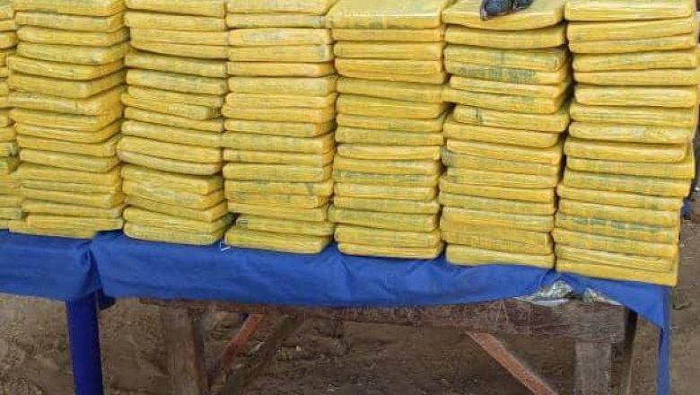 Niger : À Gaya, le PPF de Sabon Birni démantèle un gang armé et saisit 160 paquets de chanvre indien