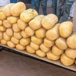 À Kollo, l’OCRTIS a démantelé une filière de stupéfiants reliant quatre pays. 162 kilos de cannabis et 9 900 comprimés ont été saisis. Une opération stratégique pour la sécurité sahélienne.