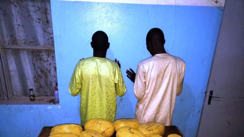 À Konni, les forces nigériennes ont intercepté 57 kilos de cannabis et des milliers de pilules psychoactives. Deux trafiquants présumés ont été arrêtés. L’OCRTIS intensifie sa lutte contre les réseaux transfrontaliers de stupéfiants