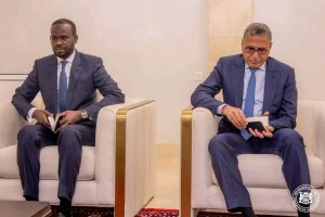 Tchad-Niger : Mahamat Déby Itno reçoit Mahamadou Issoufou (Champion GMV) pour des discussions clés sur la mobilisation des fonds pour la Grande Muraille Verte et la sécurité au Sahel.
