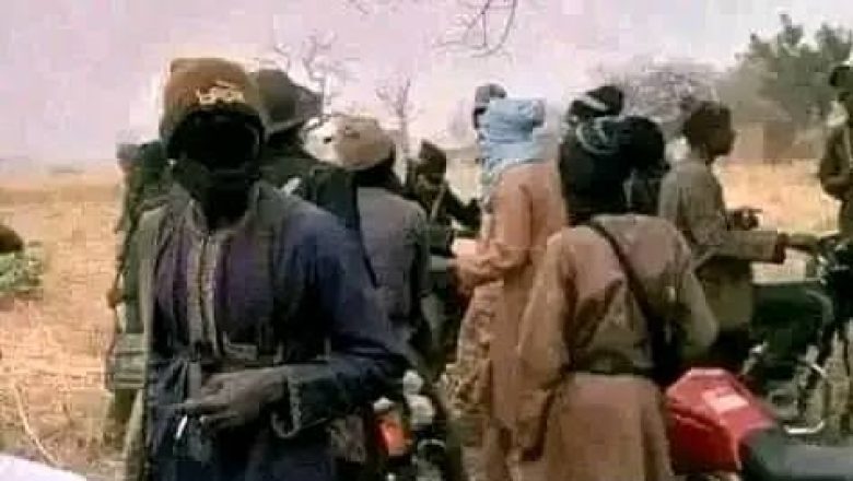 Nigeria : Face à l'impunité, les habitants de Sabun Binin ripostent par un "contre-enlèvement" spectaculaire. Analyse des conséquences de cette tactique inédite sur le banditisme armé au Sahel.