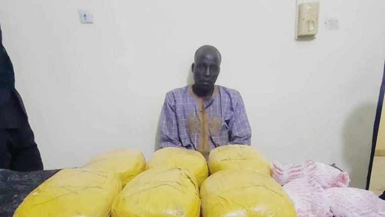Trafic de drogue : Coup de filet majeur à Tanout. Les forces de sécurité ont saisi chanvre indien et Hexol, démantelant un réseau clé entre Ourafane et Agadez.