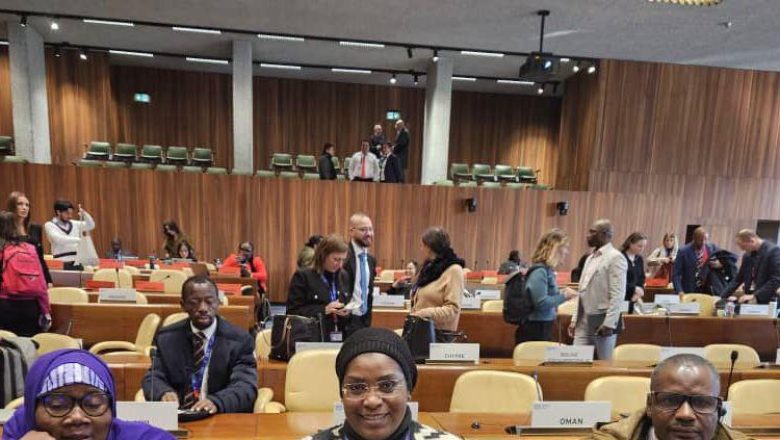 La Ministre nigérienne Aïssatou Abdoulaye Tondi participe à la 355ᵉ session de l'OIT à Genève (17-27 nov. 2025).