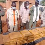 Tahoua : L'OCRTIS intercepte plus de 50 kg de cannabis et démantèle un réseau transfrontalier. Le Gouverneur rappelle le lien entre le trafic et le terrorisme dans la région.