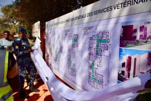 Ministère de l’Agriculture et de l’Élevage.