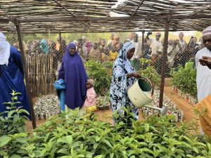 Ministère de l'Education Nationale 