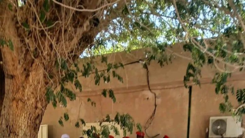 Gouvernorat d'Agadez