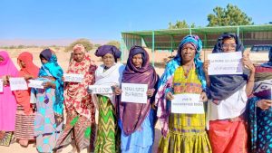 Gouvernorat d'Agadez