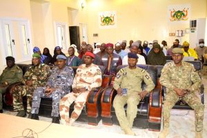 Gouvernorat de Diffa