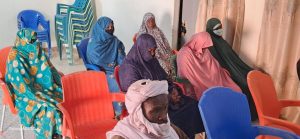 Gouvernorat d'Agadez