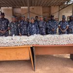 Direction Générale des Douanes Nigériennes