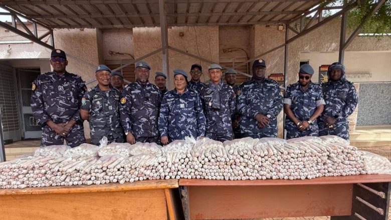 Direction Générale des Douanes Nigériennes