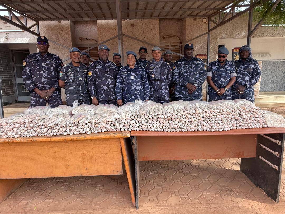 Direction Générale des Douanes Nigériennes