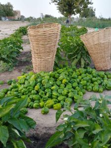 Maison d’Arrêt de Mayahi
