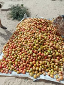 Maison d’Arrêt de Mayahi