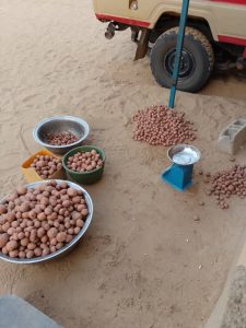 Maison d’Arrêt de Mayahi