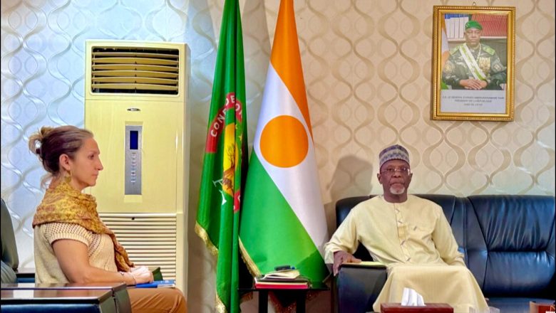 Ministère des Affaires Étrangères - Coopération - NE﻿