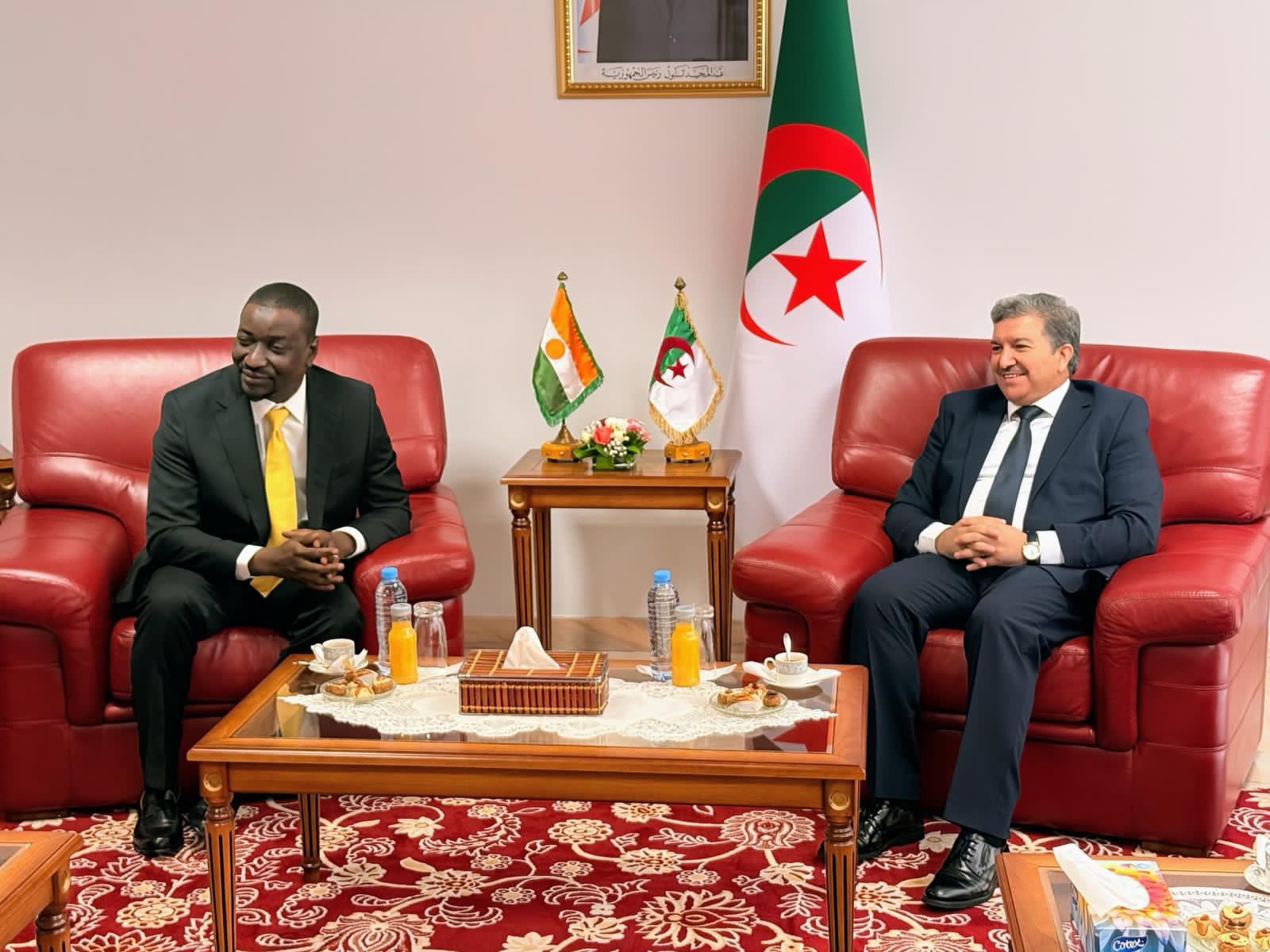 Niger-Algérie : vers une souveraineté numérique partagée