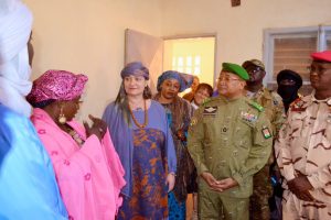 Gouvernorat d'Agadez