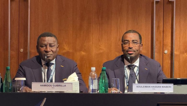 Fédération Nigérienne De Football