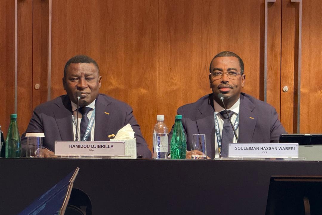 Fédération Nigérienne De Football