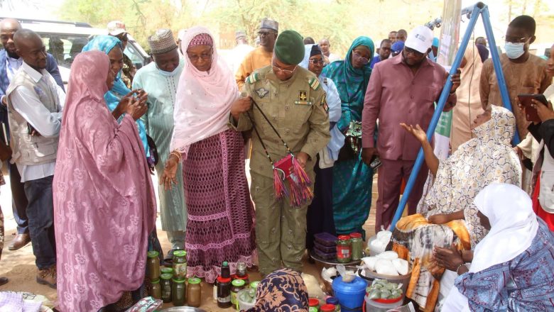 Gouvernorat d'Agadez
