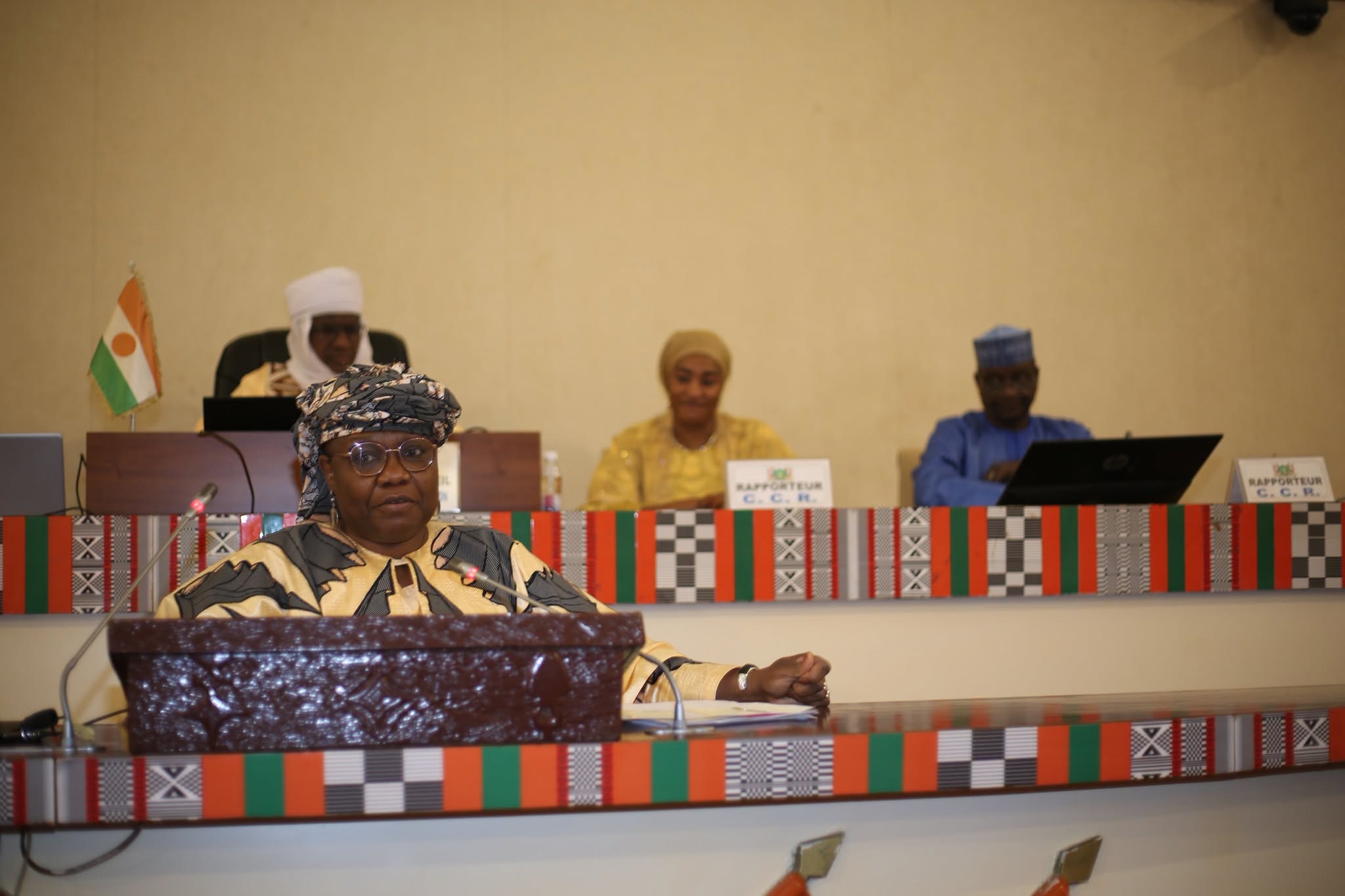 Niger : Dr Élisabeth Shérif présente la réforme éducative au CCR