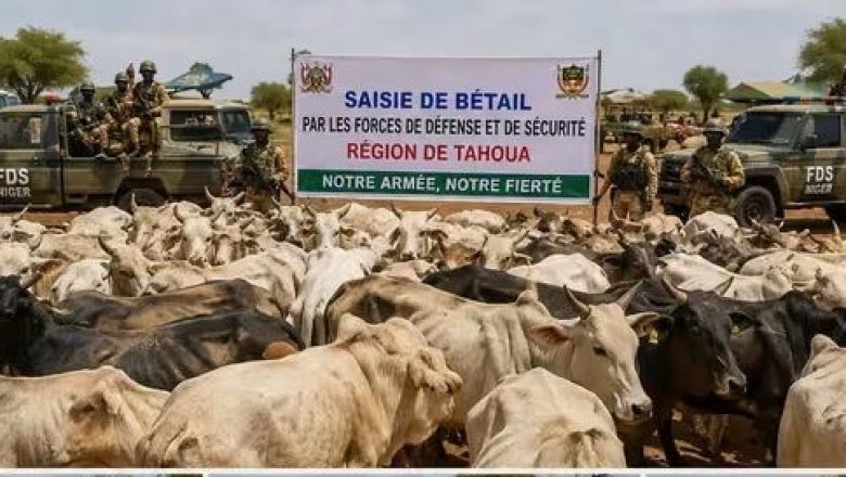 Gouvernorat de Tahoua