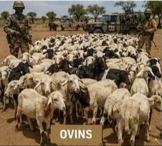 Gouvernorat de Tahoua
