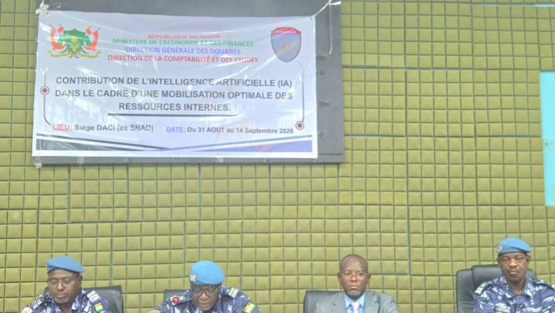 Direction Générale des Douanes Nigériennes