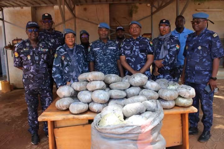 Niger : saisie record de 154 boules de chanvre indien