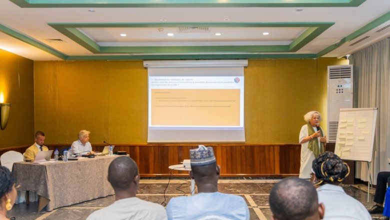 Direction Générale des Douanes Nigériennes