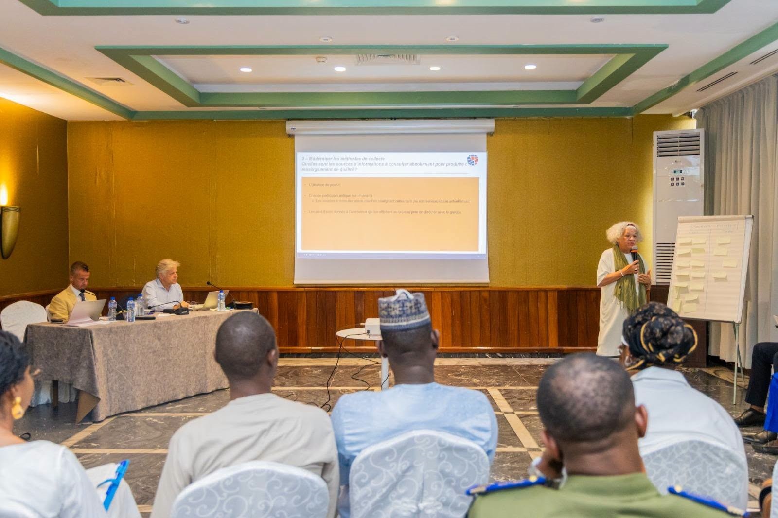 Direction Générale des Douanes Nigériennes