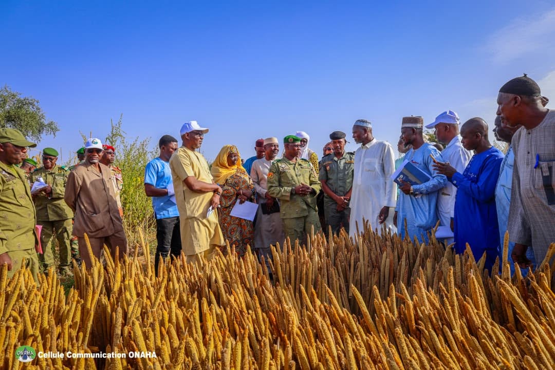 Agriculture au Niger : Rendements en hausse à Saguia et suivi à Niamey