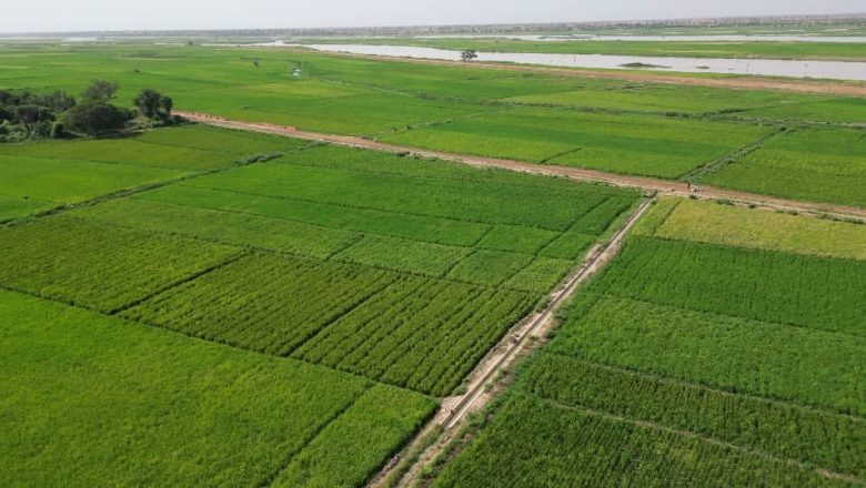 Ministère de l'Agriculture et de l'Elevage MAGEL
