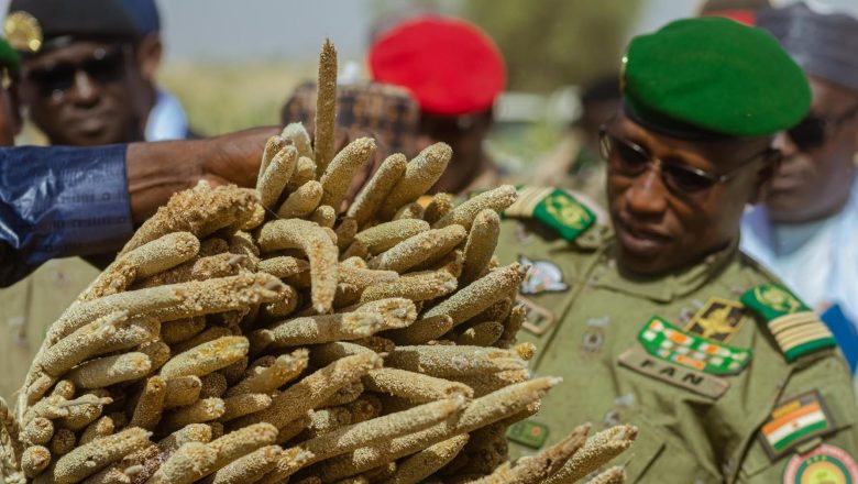 Ministère de l'Agriculture et de l'Elevage MAGEL